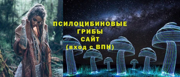 хмурый Белоозёрский